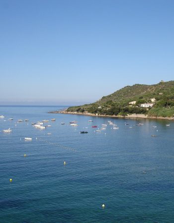 Ajaccio